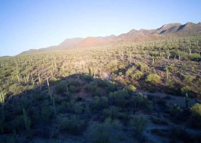 R&r In Saguaro Natl Park