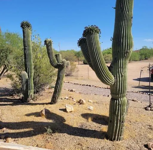 R&r In Saguaro Natl Park Dom wakacyjny Avra